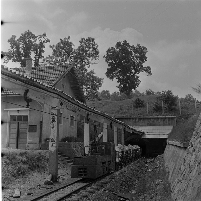 minerva_1973_c1_c8r1_003