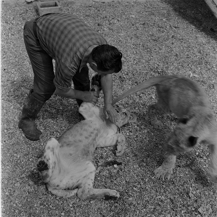 minerva_1973_c1_c8r3_014