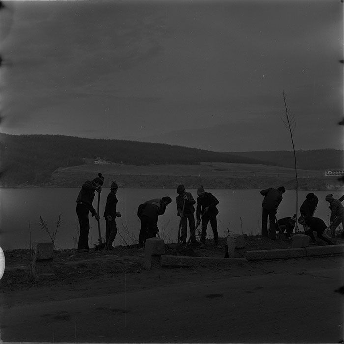 minerva_1976-1977_c3_c10r1_001