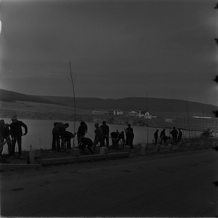 minerva_1976-1977_c3_c10r1_002