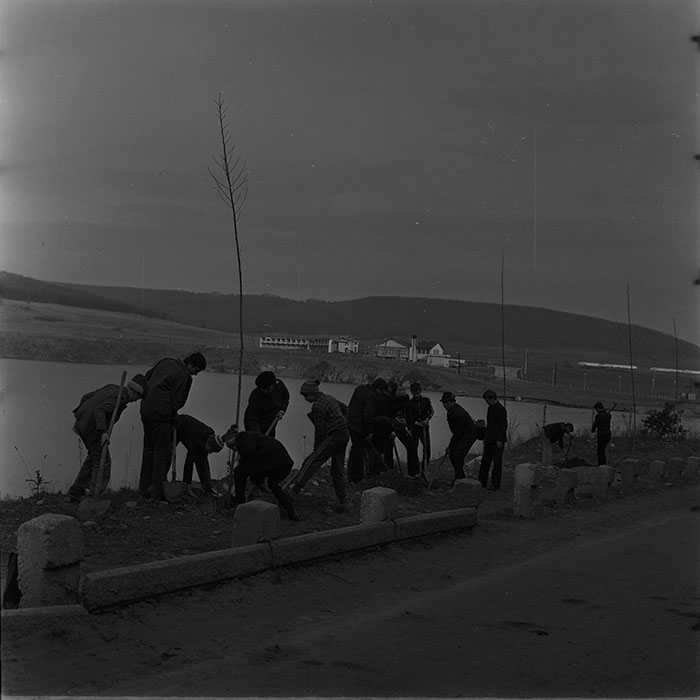 minerva_1976-1977_c3_c10r1_003