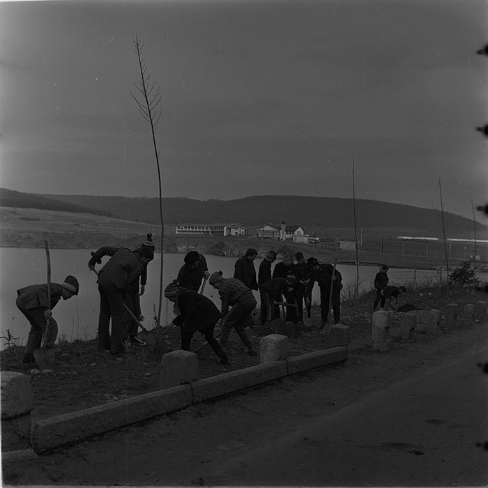 minerva_1976-1977_c3_c10r1_004