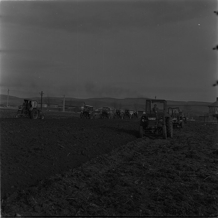 minerva_1976-1977_c3_c10r1_006