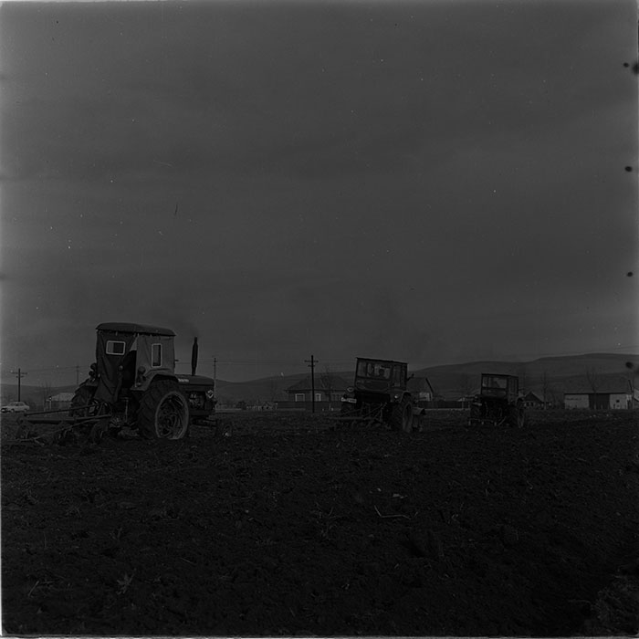 minerva_1976-1977_c3_c10r1_008