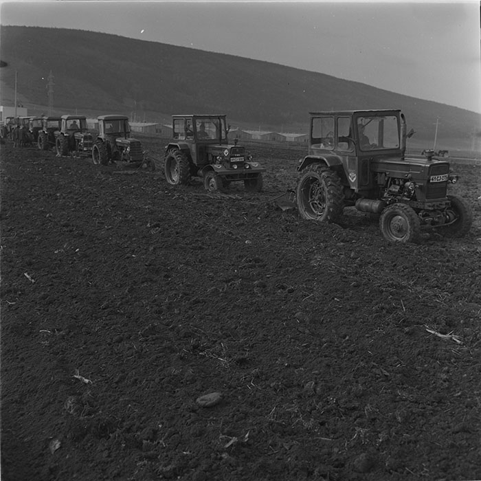 minerva_1976-1977_c3_c10r1_009