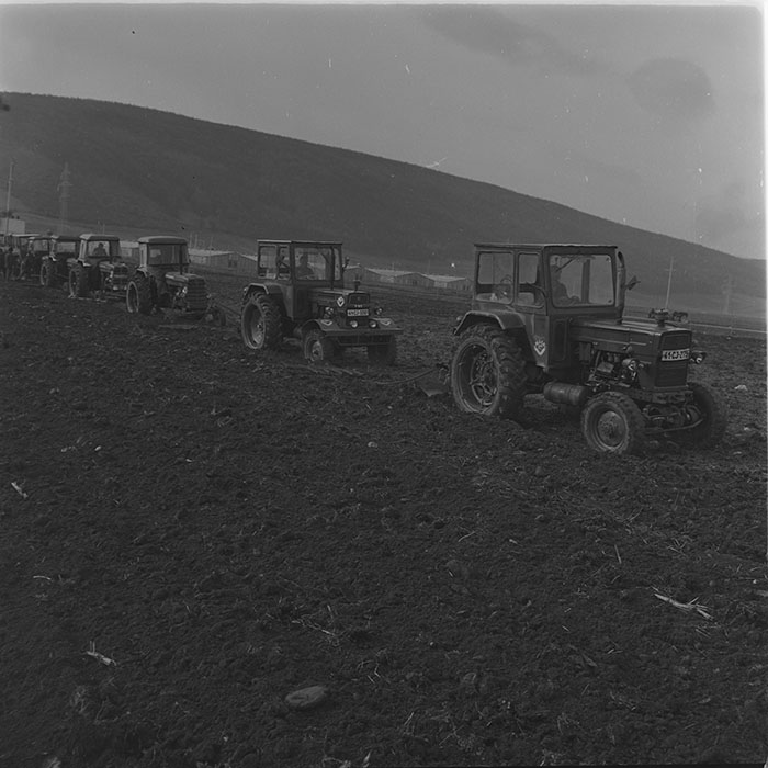 minerva_1976-1977_c3_c10r1_010