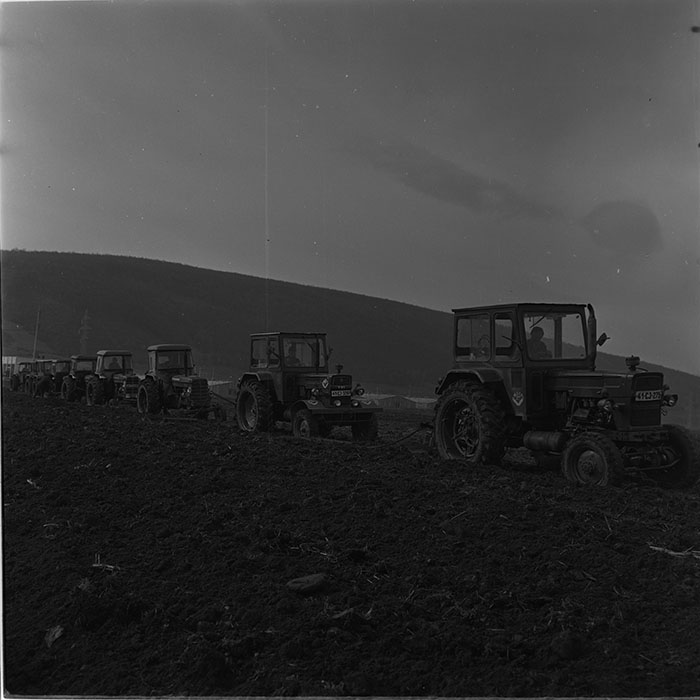 minerva_1976-1977_c3_c10r1_011