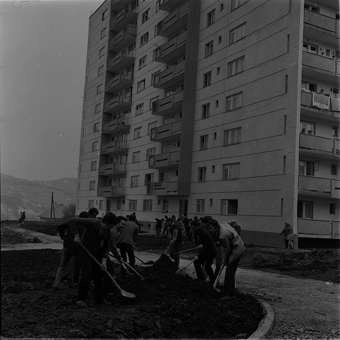 minerva_1976-1977_c3_c3r5_004