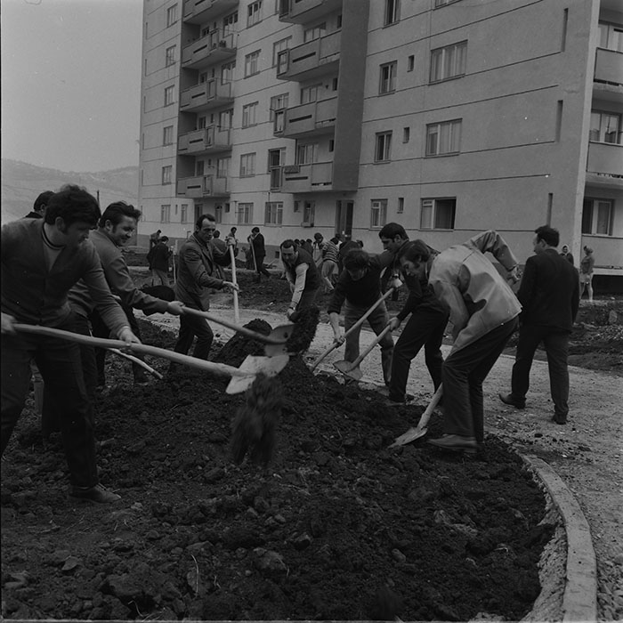 minerva_1976-1977_c3_c3r5_005