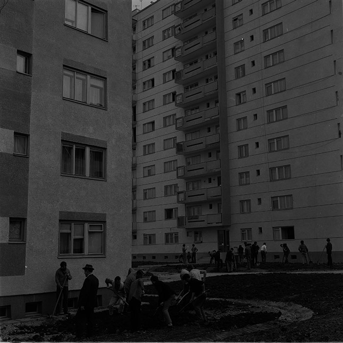 minerva_1976-1977_c3_c3r5_006