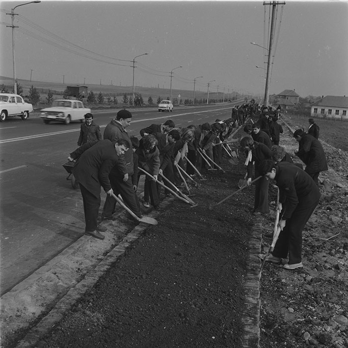 minerva_1976-1977_c3_c3r5_009