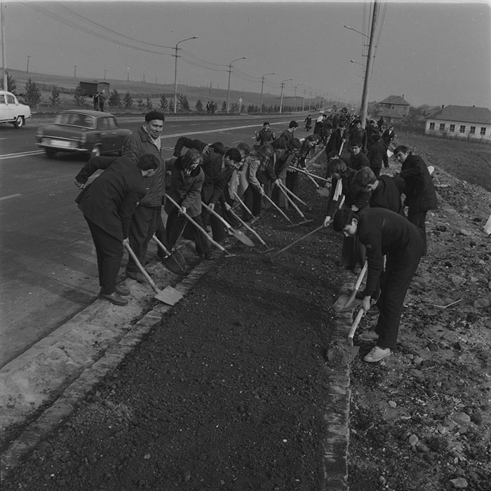 minerva_1976-1977_c3_c3r5_010