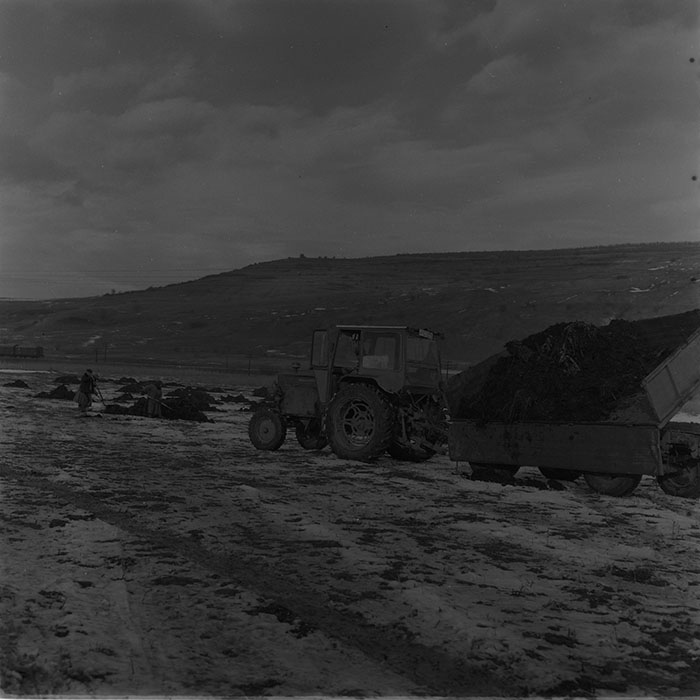 minerva_1976-1977_c3_c4r5_003