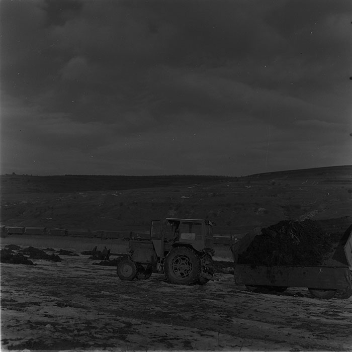 minerva_1976-1977_c3_c4r5_004