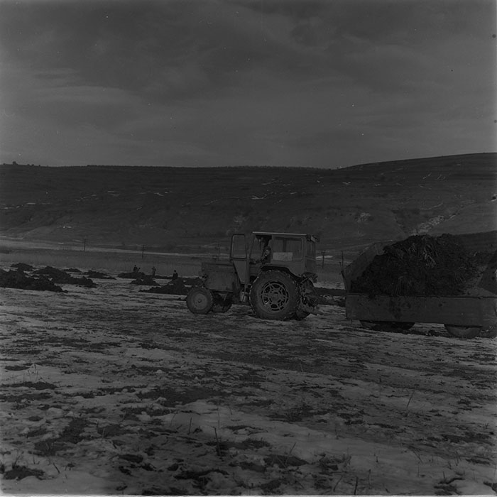 minerva_1976-1977_c3_c4r5_005