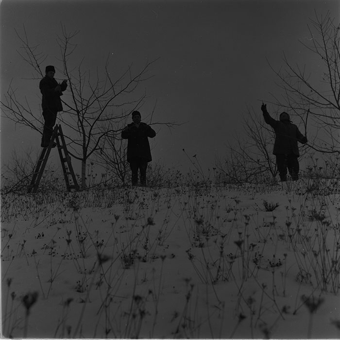 minerva_1976-1977_c3_c4r5_006