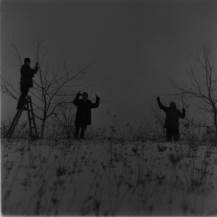 minerva_1976-1977_c3_c4r5_007