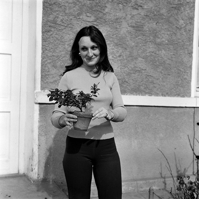 minerva_1978_c2_c1r2_010