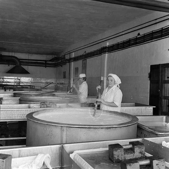 minerva_1978_c2_c1r4_006