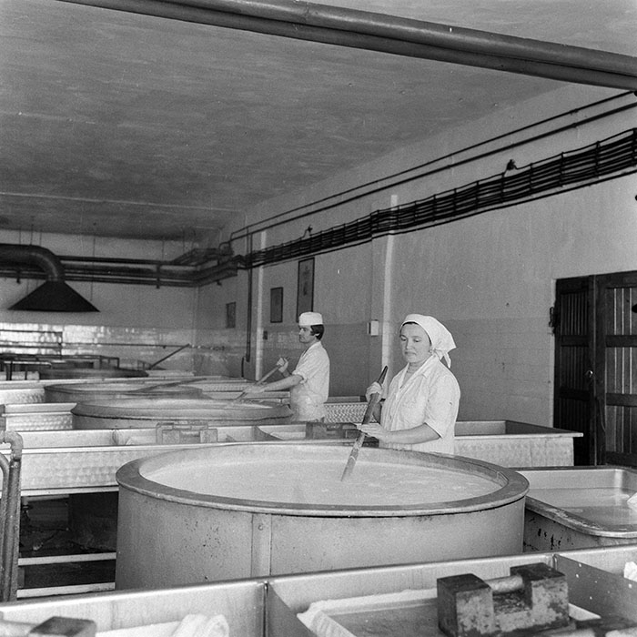 minerva_1978_c2_c1r4_007