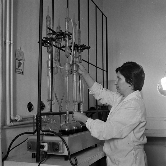 minerva_1978_c2_c1r5_002