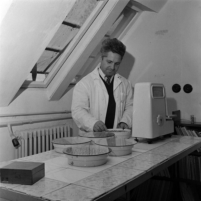 minerva_1978_c2_c2r2_018