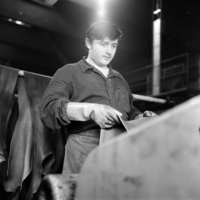 minerva_1978_c2_c2r3_007