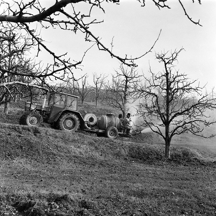 minerva_1978_c2_c2r5_006