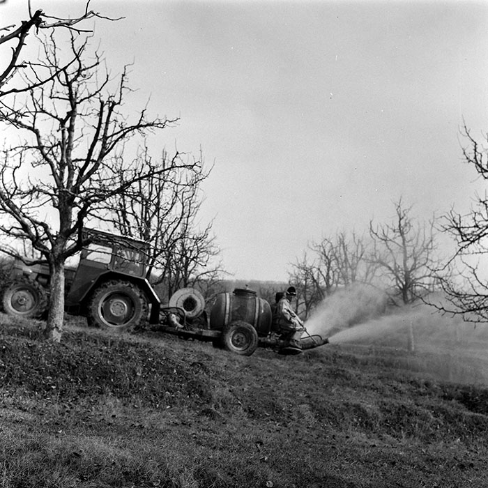 minerva_1978_c2_c2r5_007