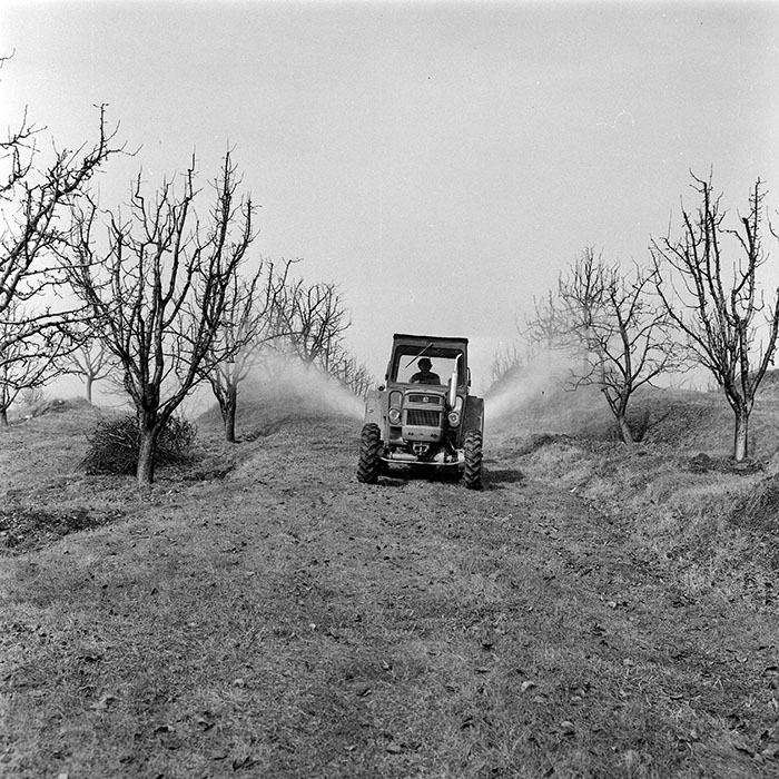 minerva_1978_c2_c2r5_008