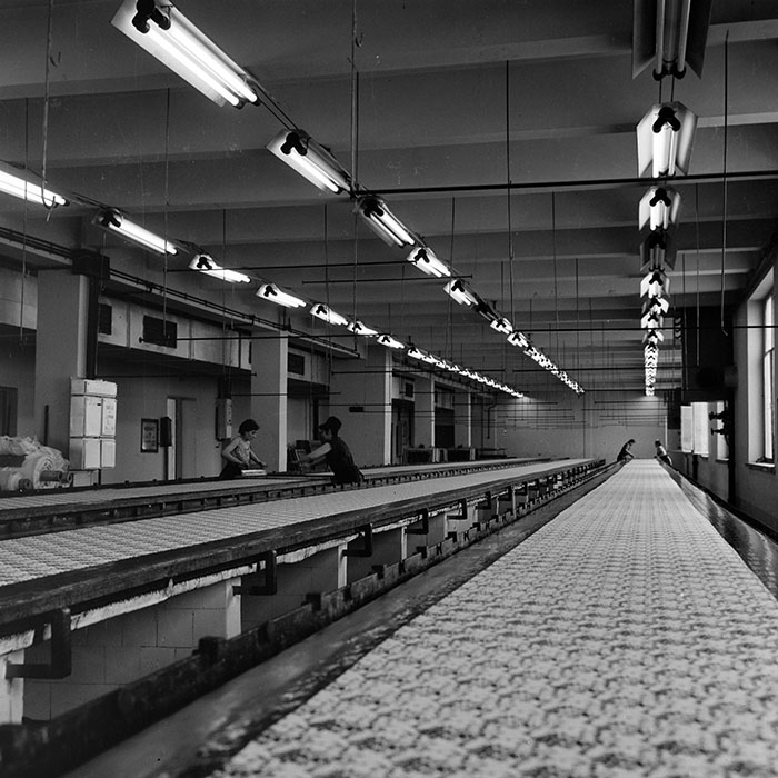 minerva_1978_c2_c3r1_011