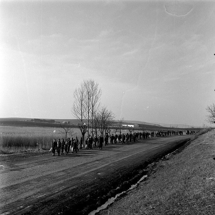 minerva_1978_c2_c3r4_001