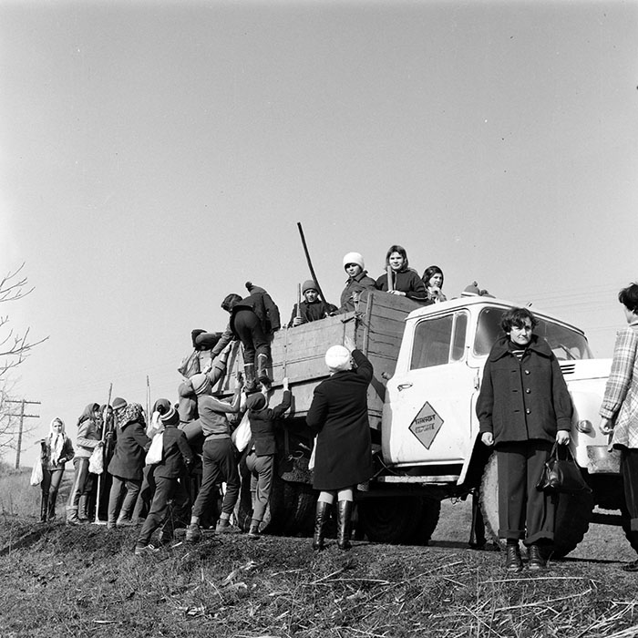 minerva_1978_c2_c3r4_004