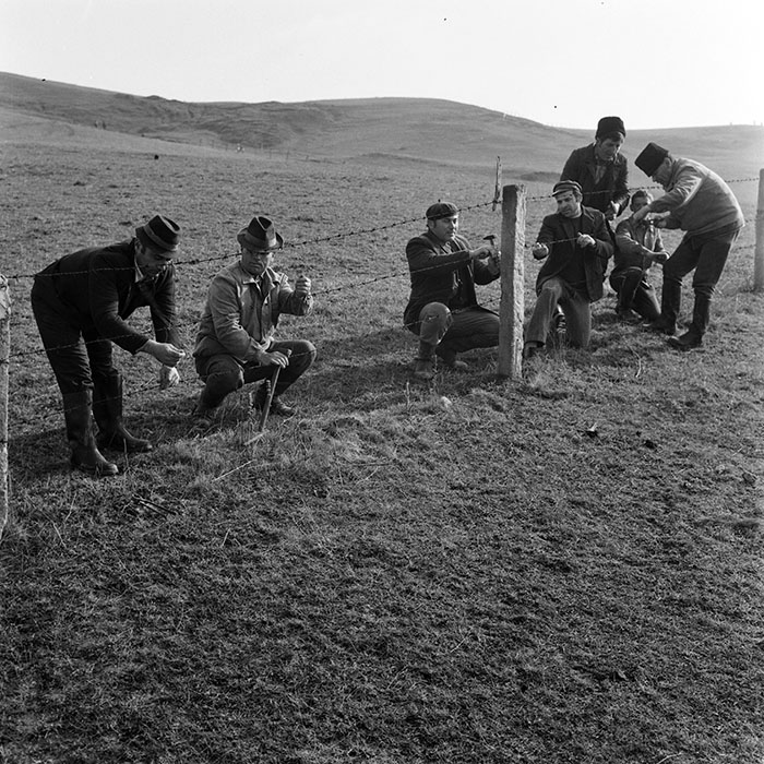 minerva_1978_c2_c3r4_008