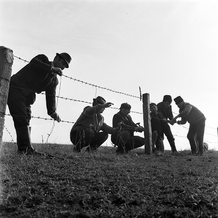 minerva_1978_c2_c3r4_009