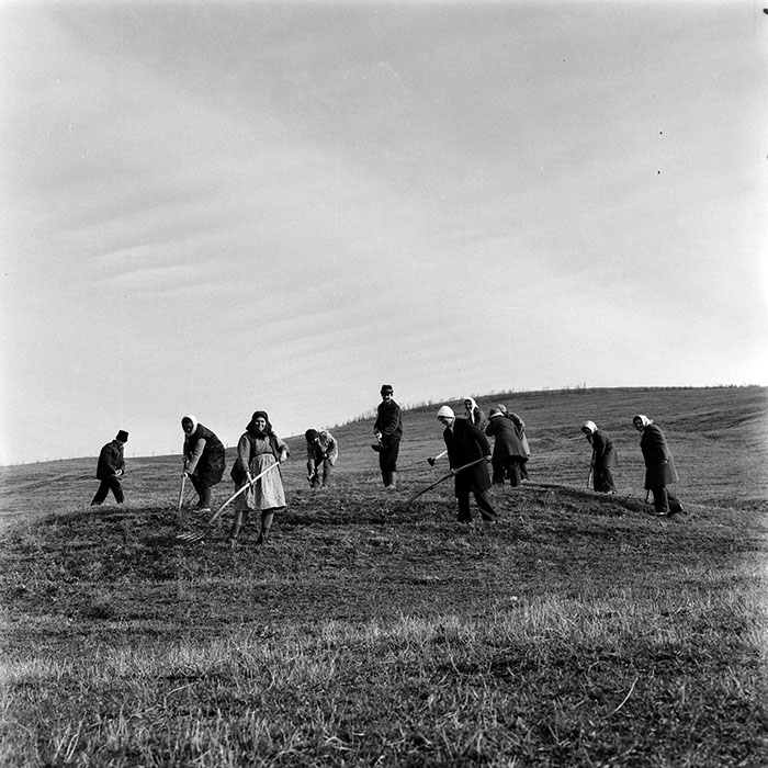 minerva_1978_c2_c3r4_010