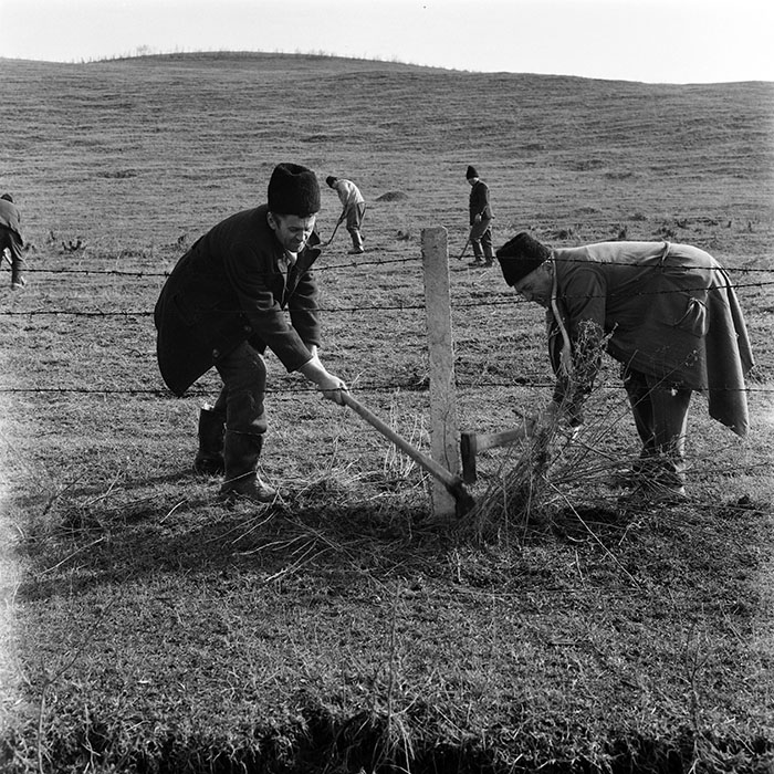 minerva_1978_c2_c3r4_011