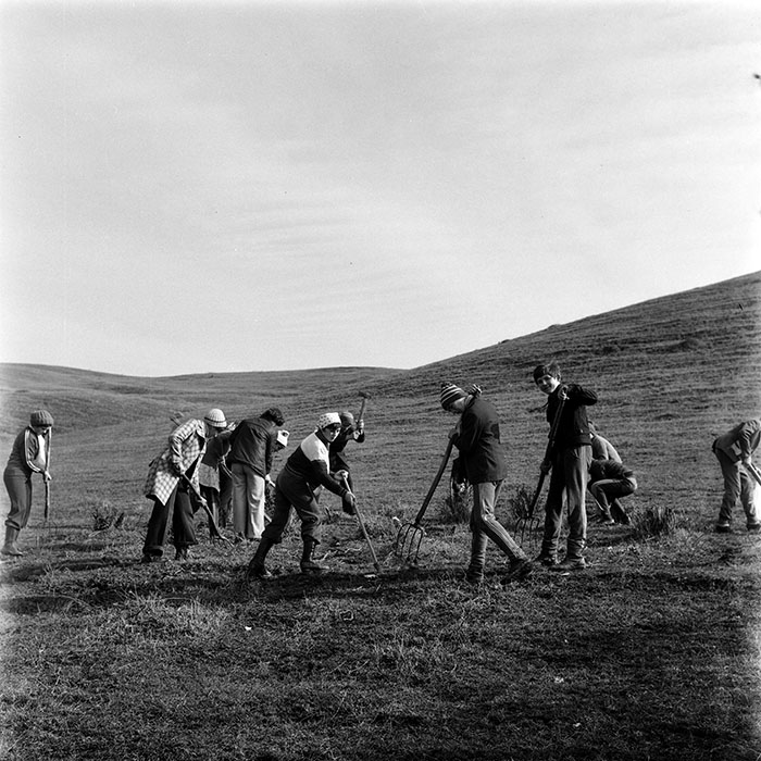 minerva_1978_c2_c3r4_012