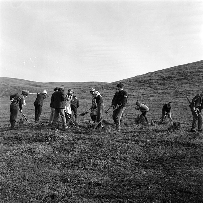 minerva_1978_c2_c3r4_013