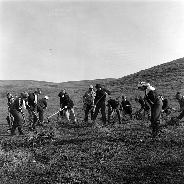 minerva_1978_c2_c3r4_015