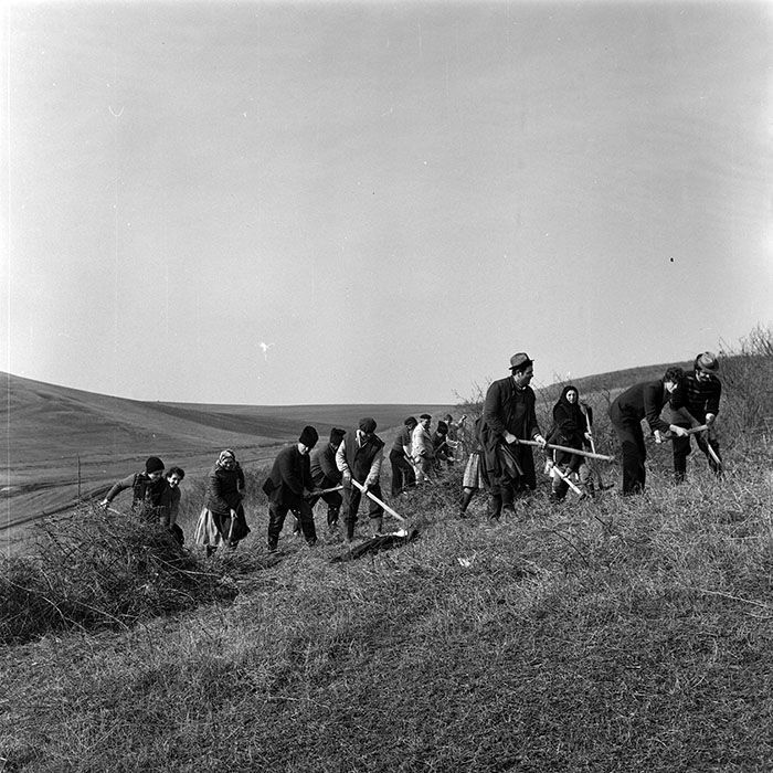 minerva_1978_c2_c3r4_016