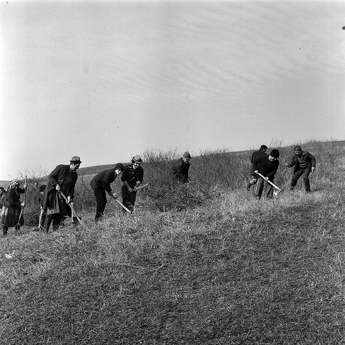 minerva_1978_c2_c3r4_017