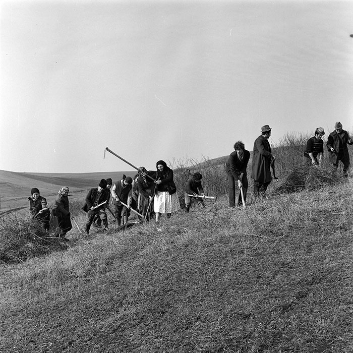 minerva_1978_c2_c3r4_018