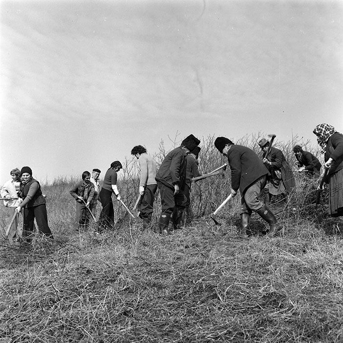 minerva_1978_c2_c3r4_019