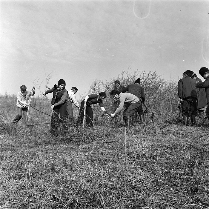 minerva_1978_c2_c3r4_020