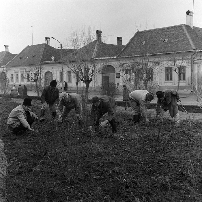 minerva_1978_c2_c4r3_024