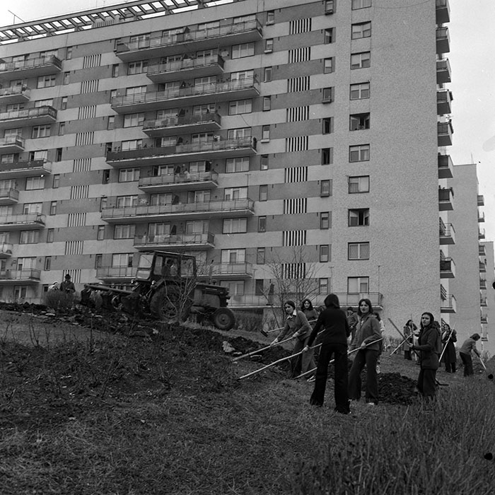 minerva_1978_c2_c4r4_002