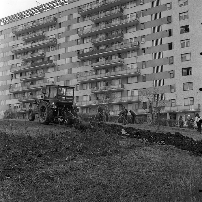 minerva_1978_c2_c4r4_003