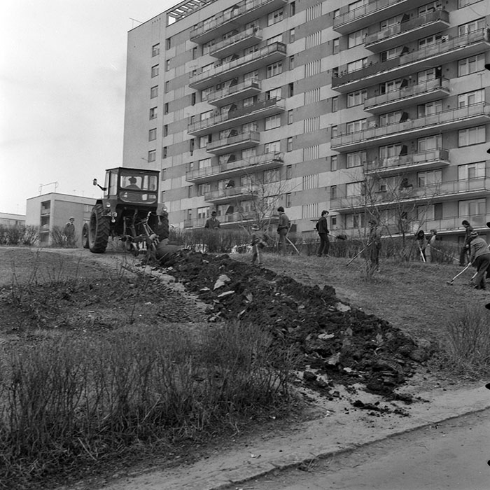 minerva_1978_c2_c4r4_004