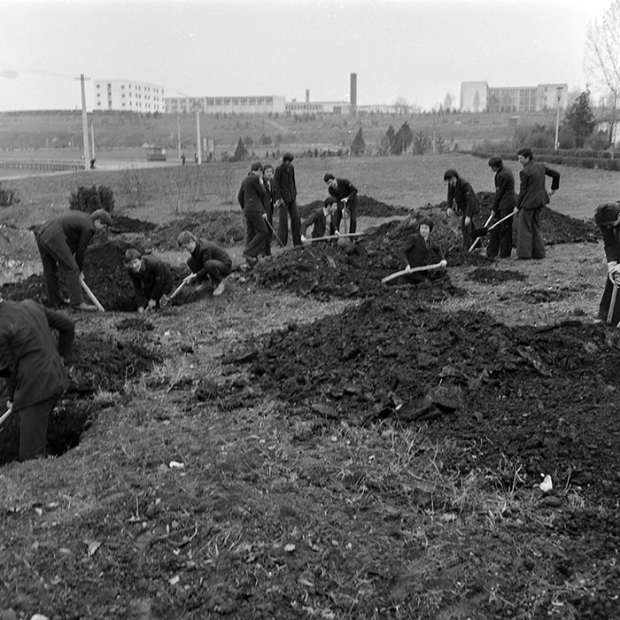 minerva_1978_c2_c4r4_011